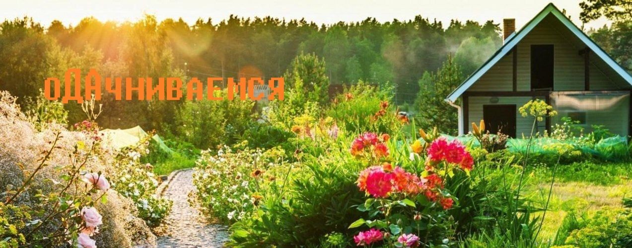 Одачниваемся