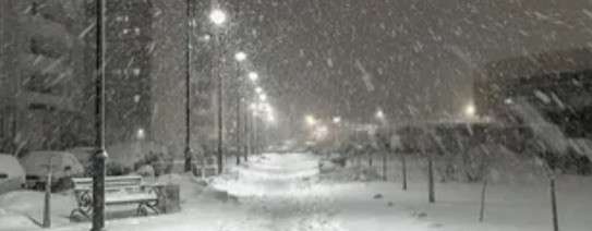 ꧁☆Хвоя КВ☆꧂  (Needles)