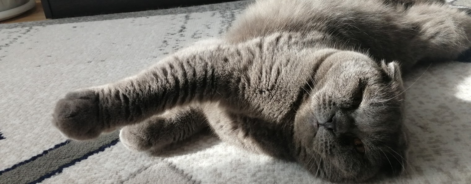 Бусяшкин тв