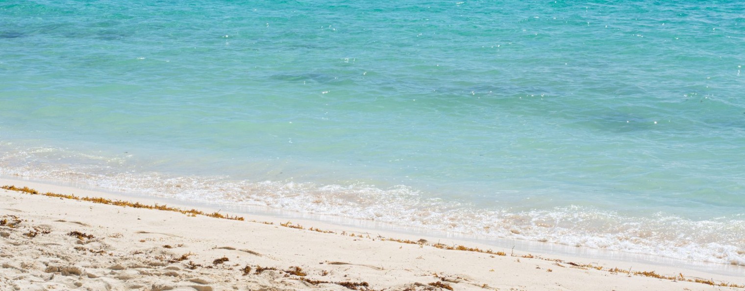 Sanёchek тусит!