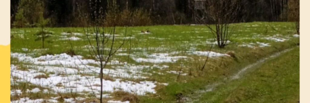 pavelpopov35 Деревня Вострое Нюксенский РайонRUs@g