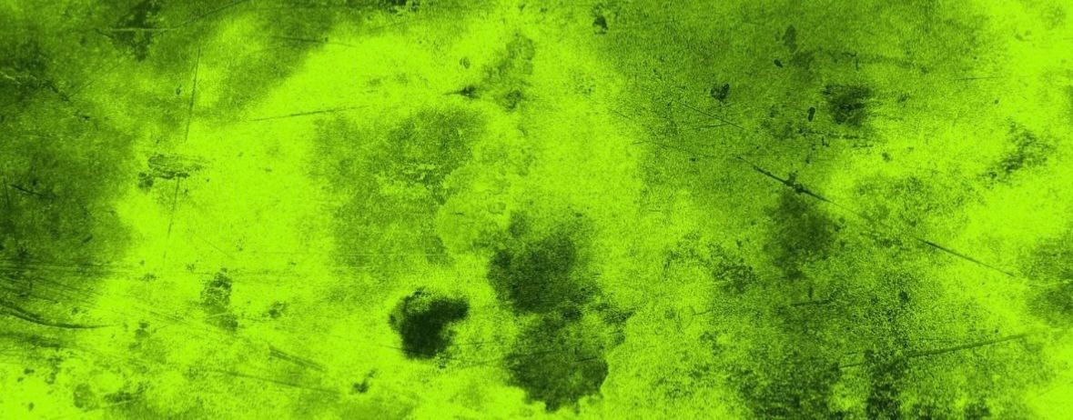 Раскопки эксперименты и путешествия