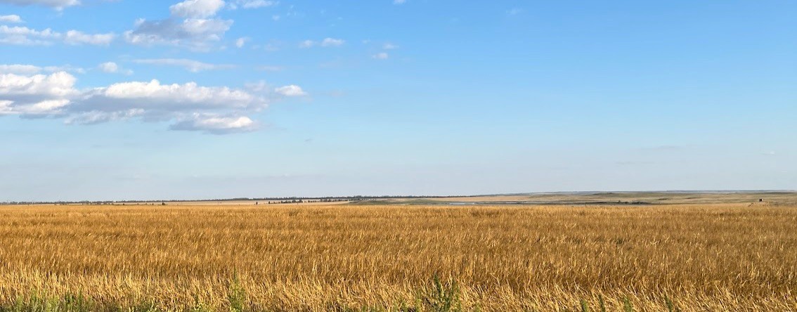 Осознанный выбор