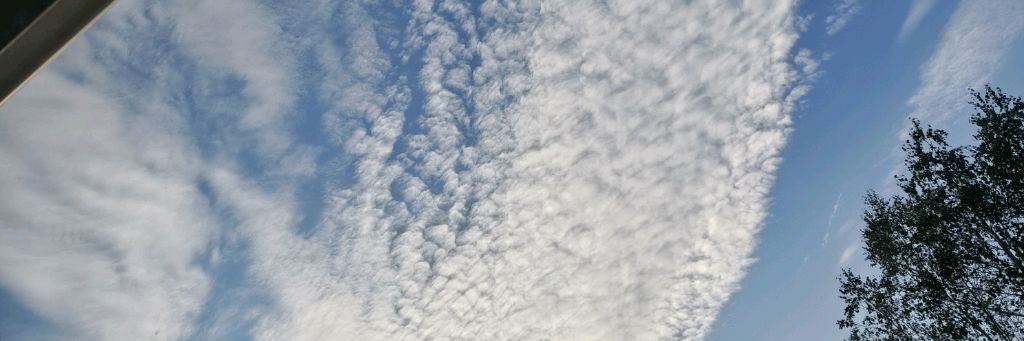 Екатерина Александровна Кузнецова-Леонтьева