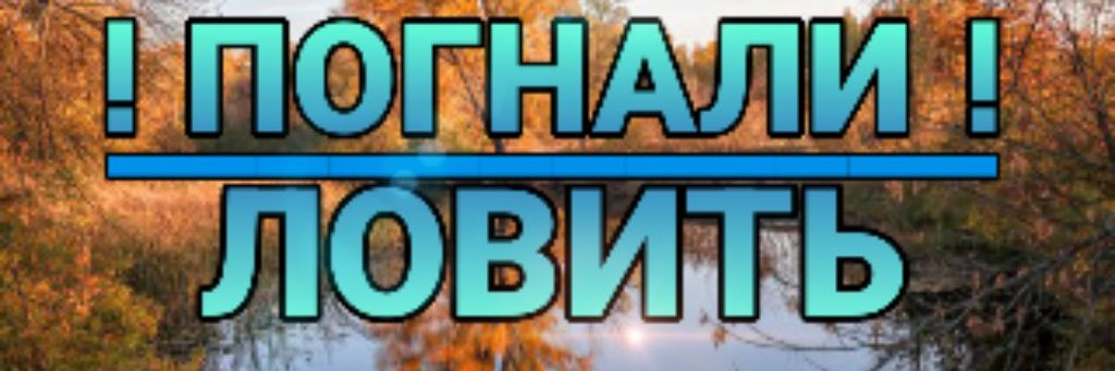 ПОГНАЛИ ЛОВИТЬ