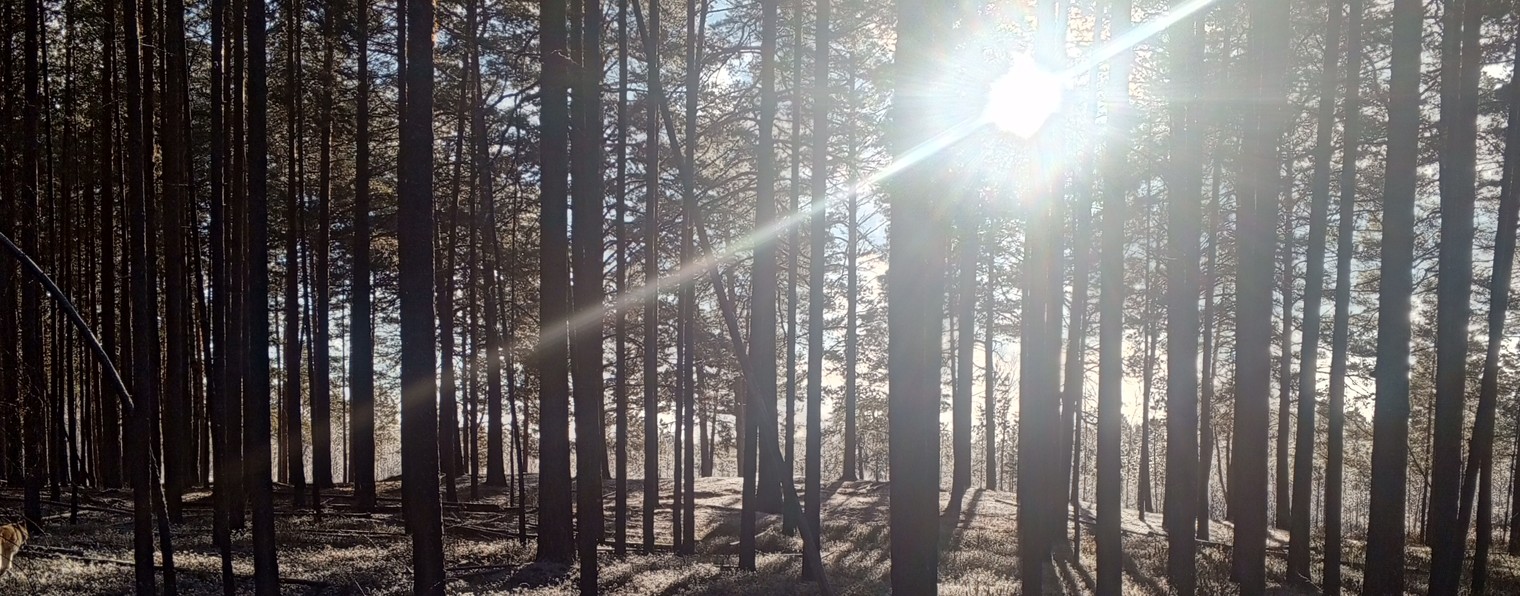 Голос Охоты