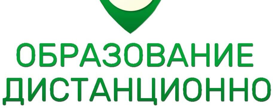 obrazovanie_distantsionno