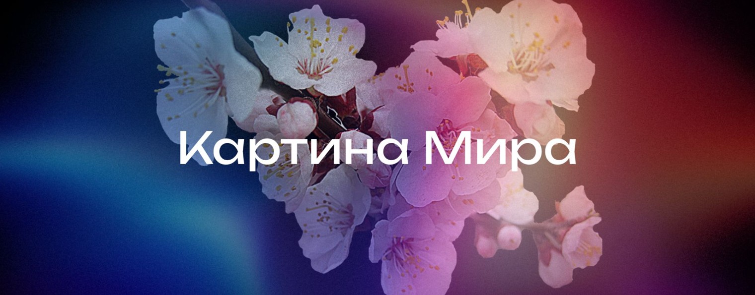 Картина Мира