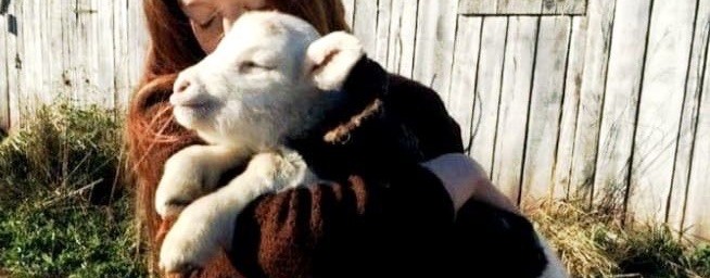 ☕️🧋_tea_🧋☕️