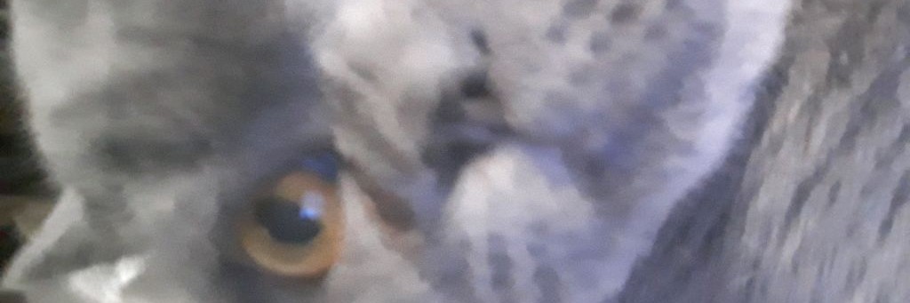 МирославаShow🍒💤👑 Переходите в ВК:1060873157