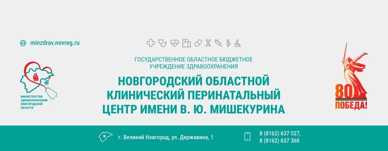 Новгородский перинатальный центр