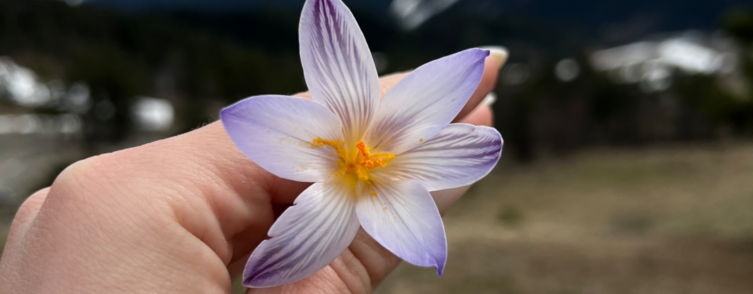 Моя жизнь❤️