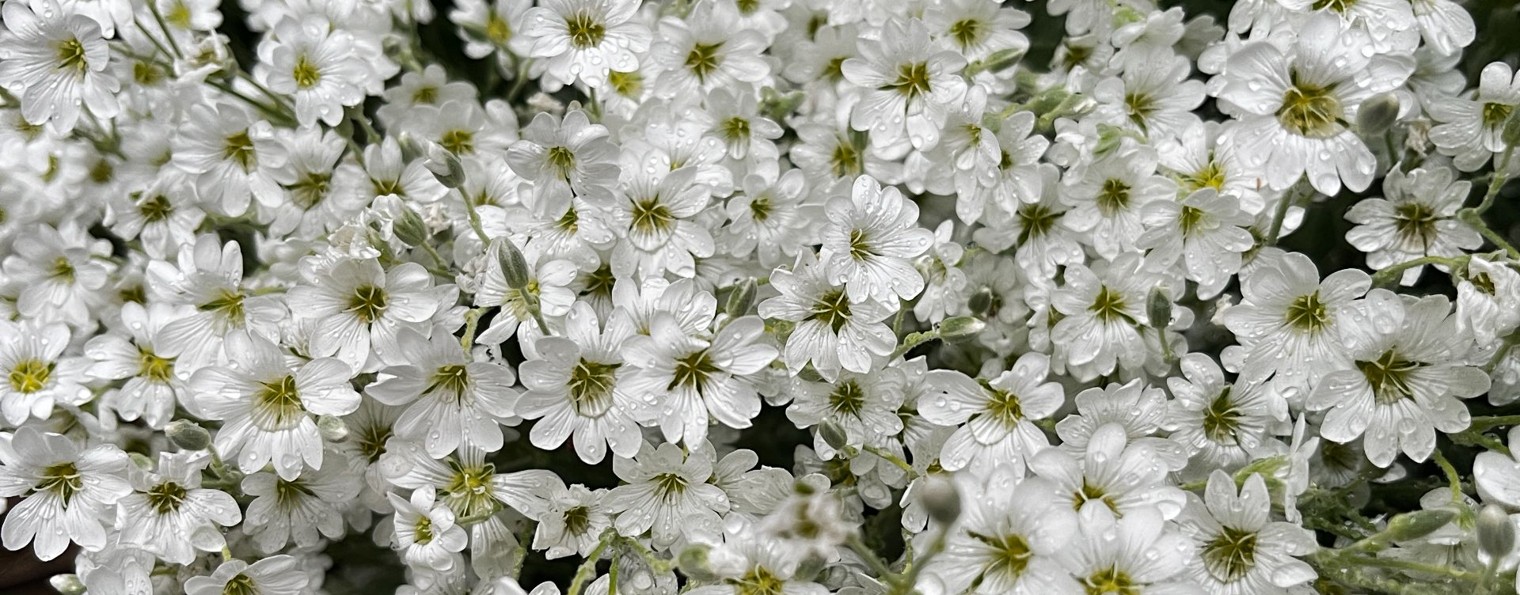 (Не)городская жизнь