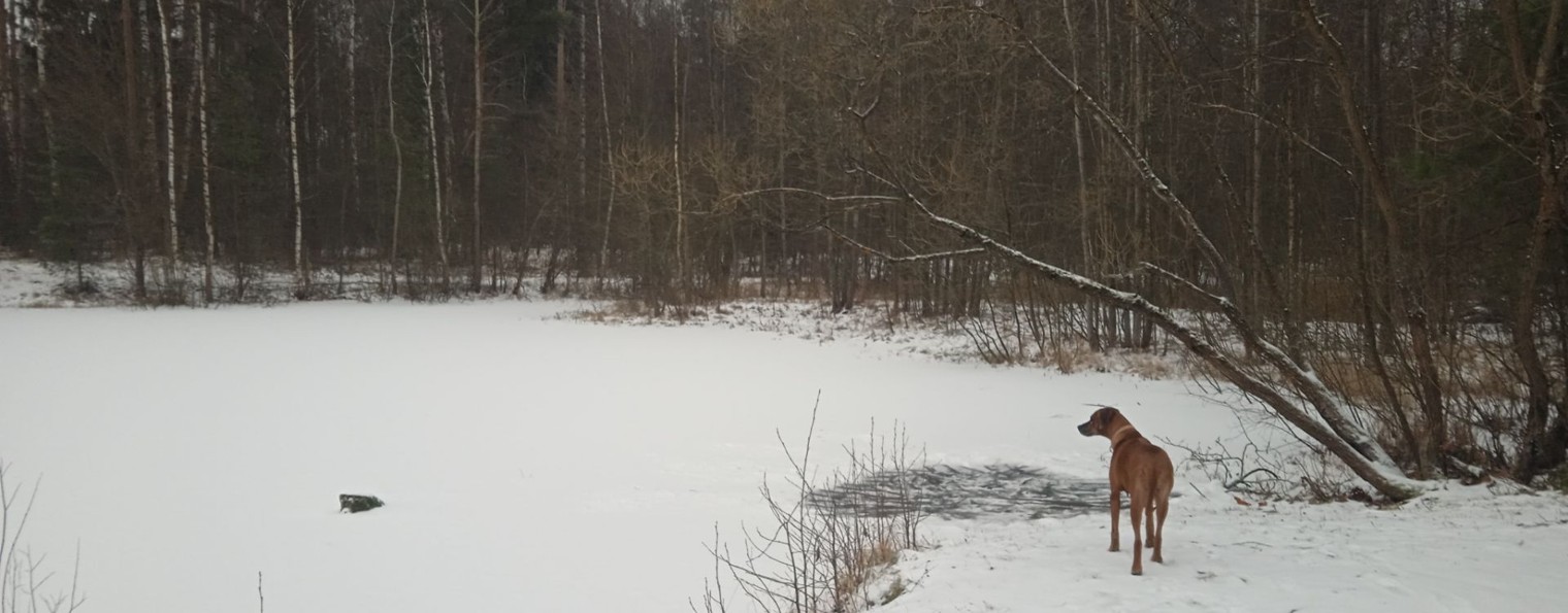 Сергей Коротков