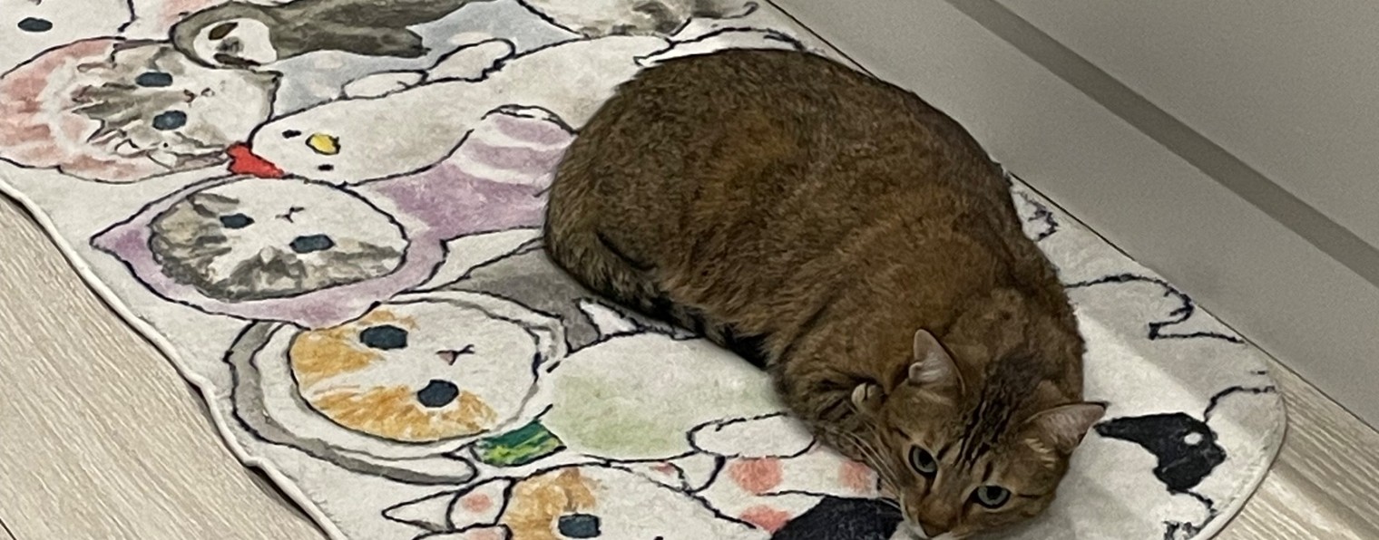 Tewont