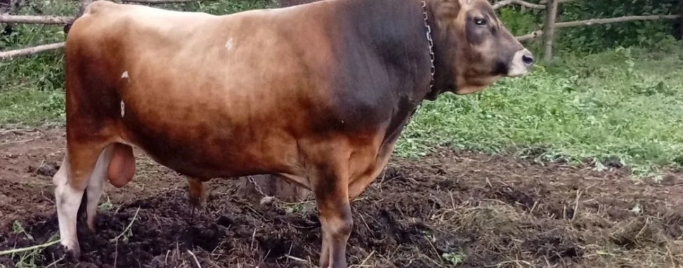 Жизнь в Орловской Глубинке