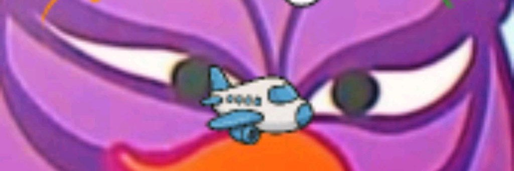 МИСТЕР КУРИЦА