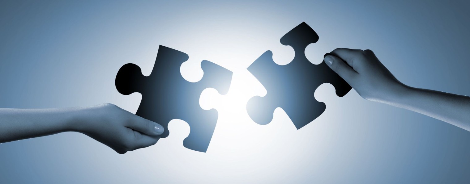 Пазл знаний