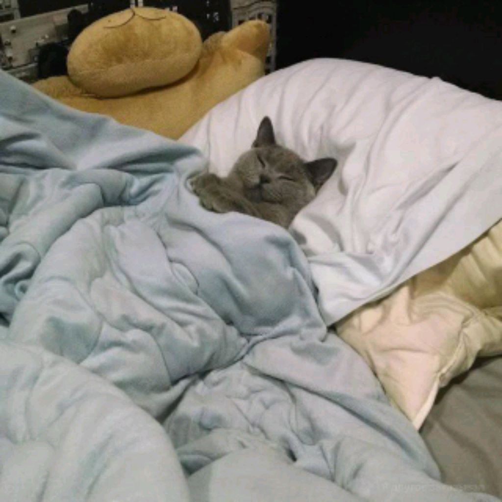 Дима Разные Игры