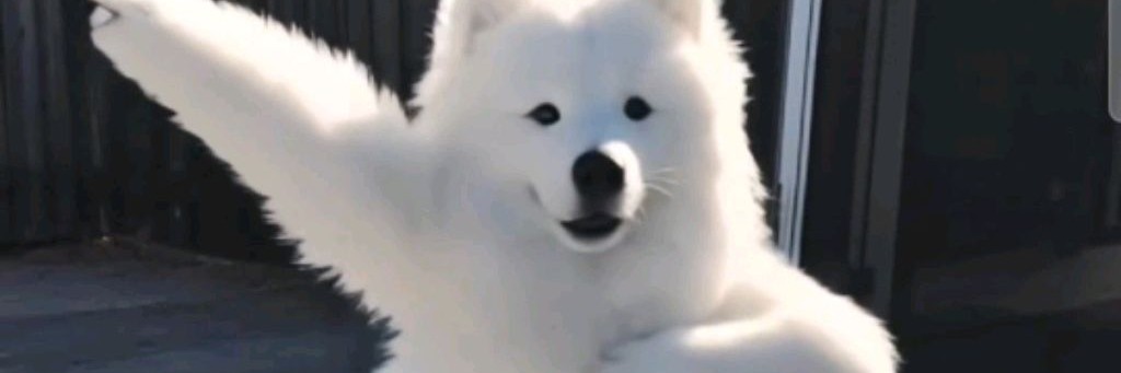 Страх Хомячка