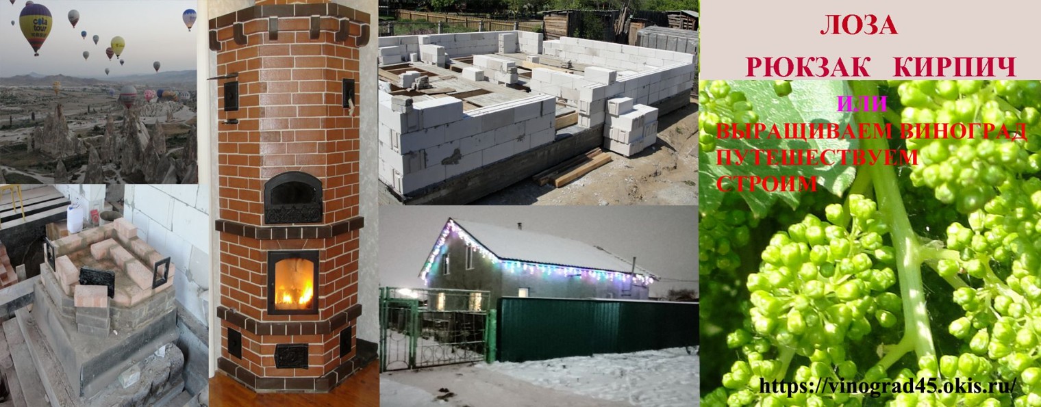 Лоза. Рюкзак. Кирпич.