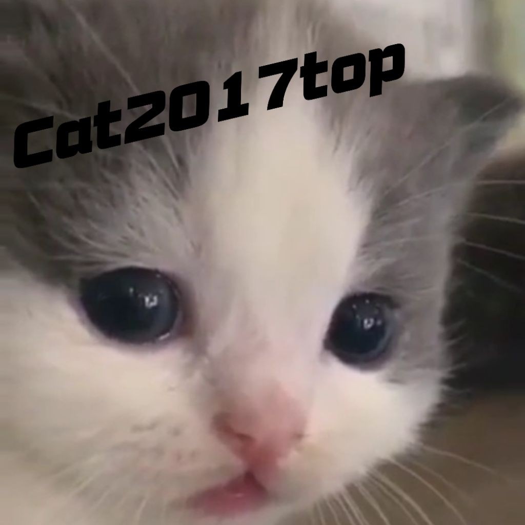 Cat2017top™