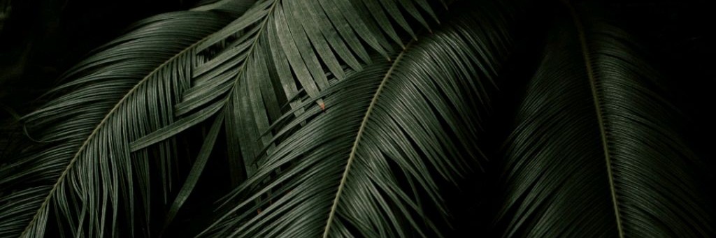Kovale