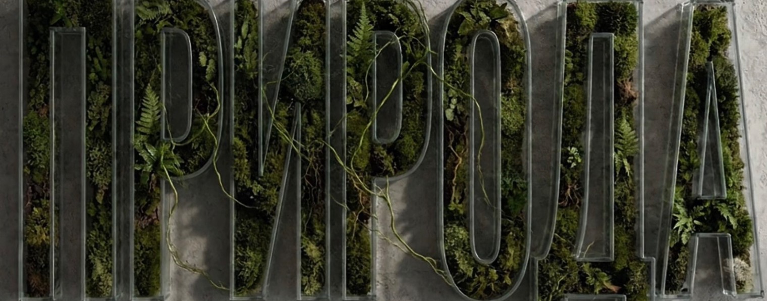 Природа 71☘️ Питомник растений