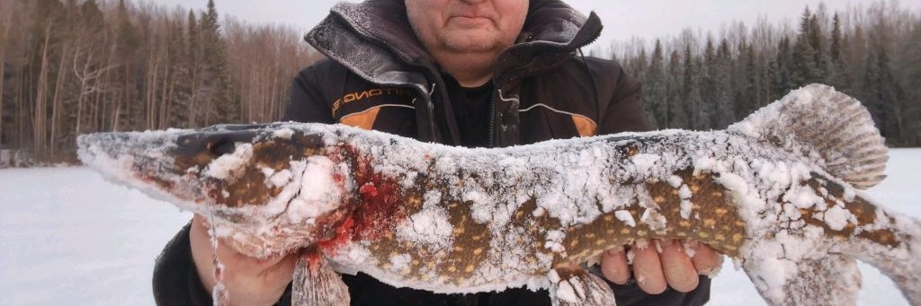 На рыбалку с Андрюхой.