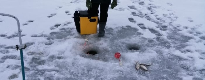 Арсений рыбалка стройка и коп