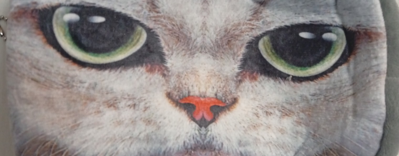 София Рапунцель