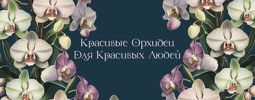 Дана Протасова