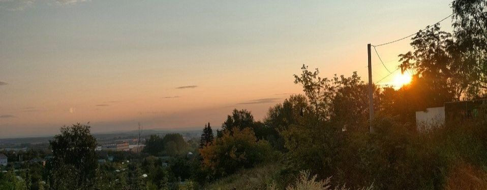 Никита Маргелов