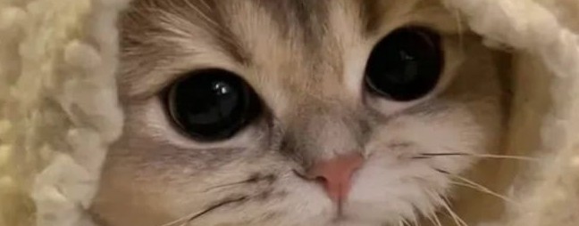 Маленький Окак