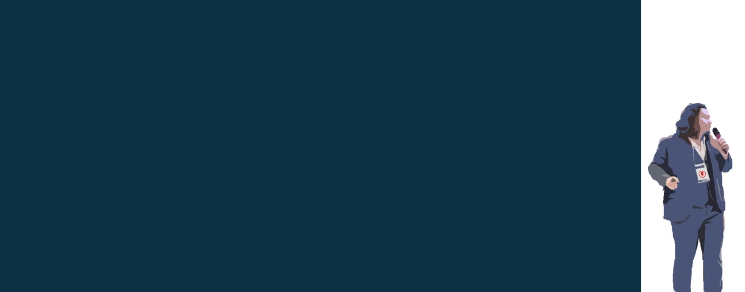 Электрокейсы MS