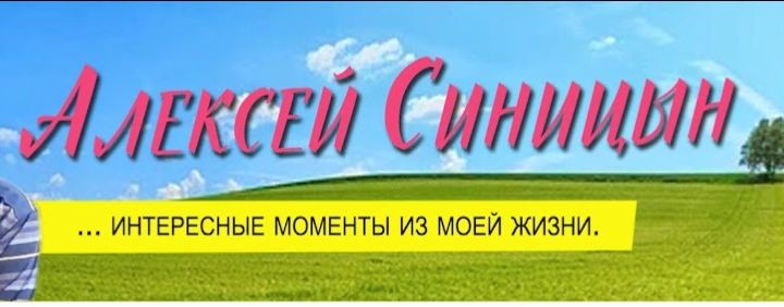 алексей         синицын