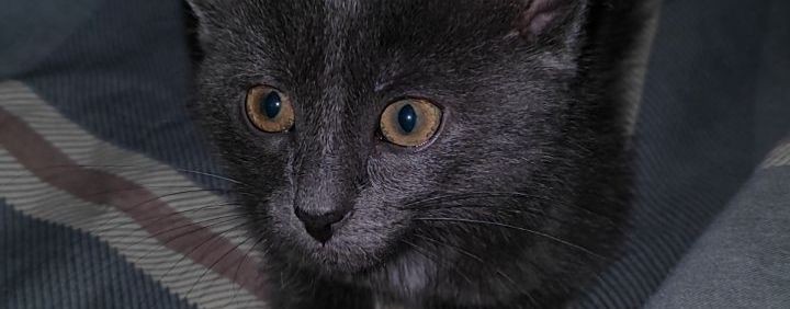 БУСЯ ❤https://t.me/Tarik_Entony