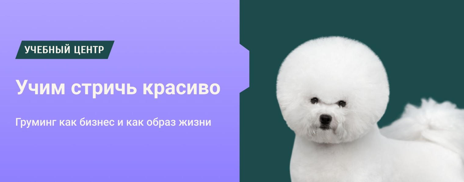 Азбука Груминга