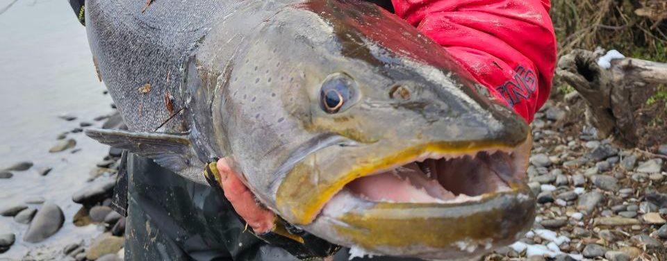 Путь воды и рыбалки...