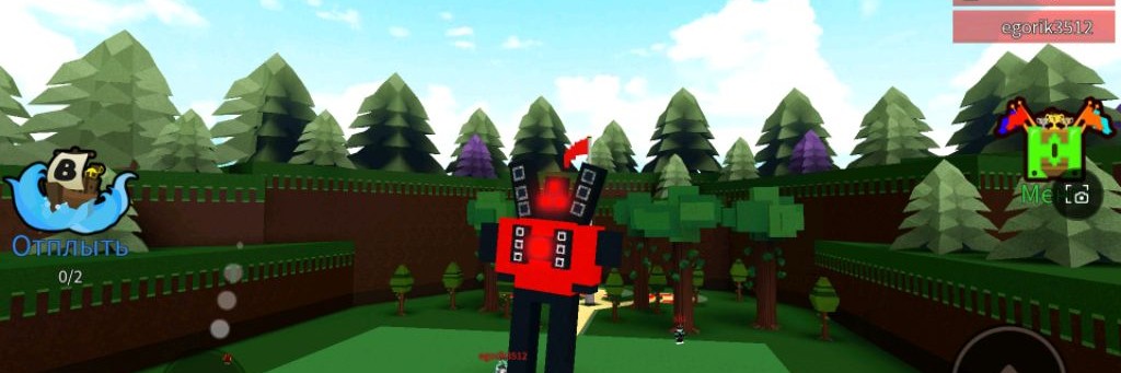 Саша_10 refafa248