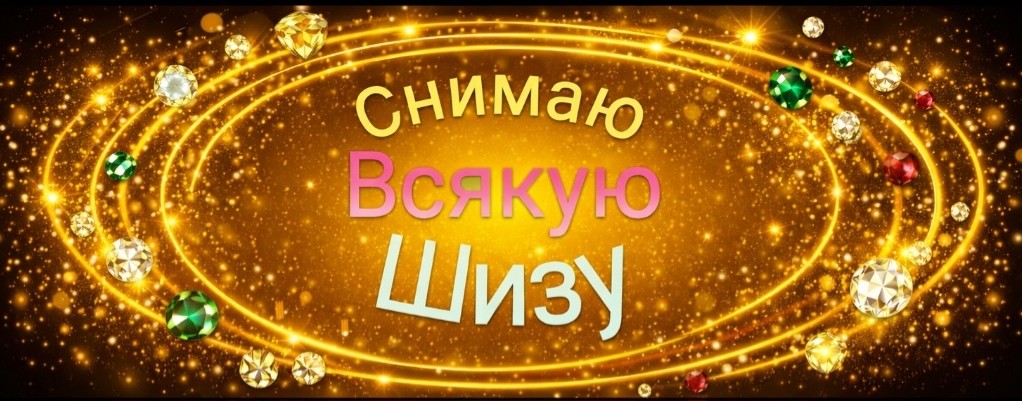 Снимаю всякую шизу
