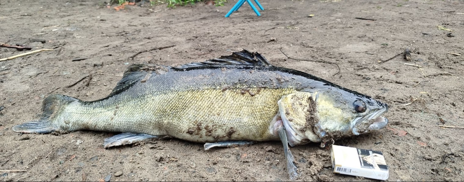 ОТДЫХ НА ВОДЕ