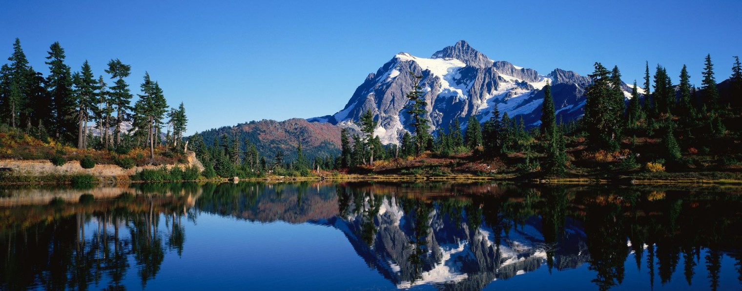 Путь домой 2025