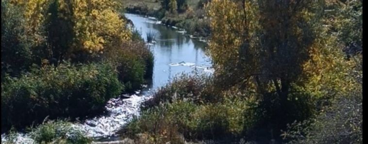 Роман Лапаев Ловля Хищника