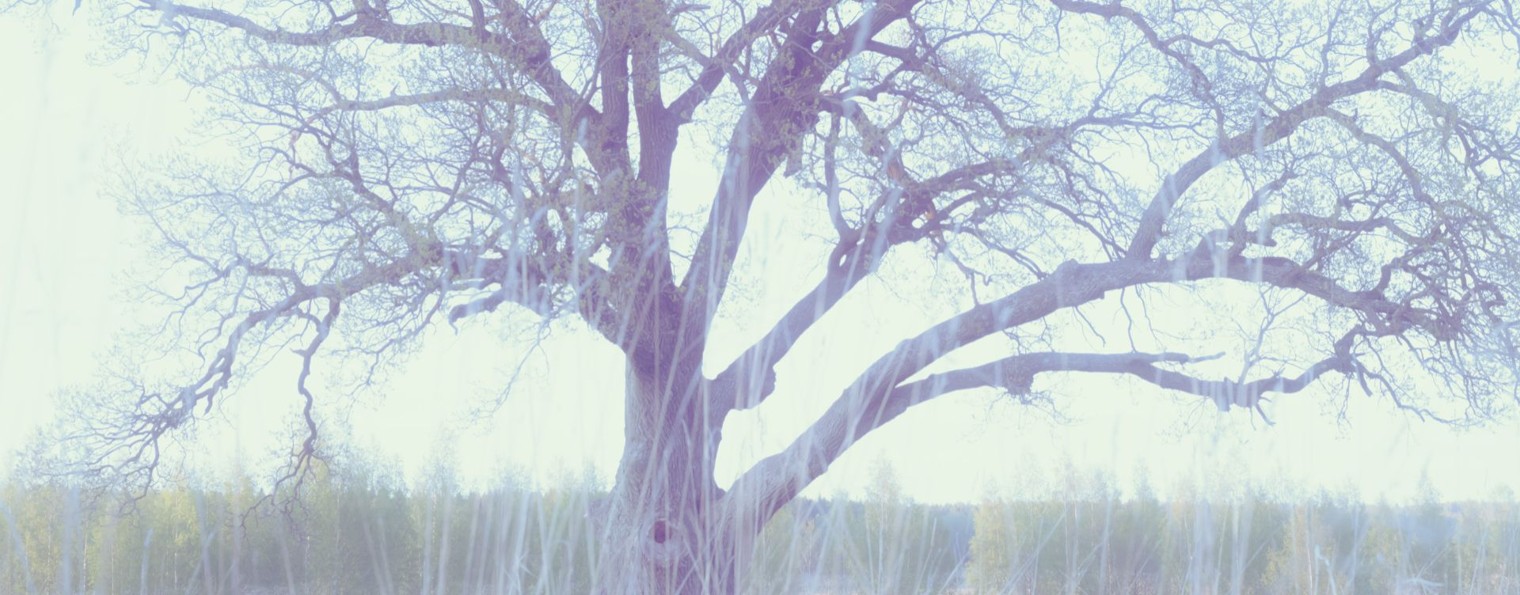 iborichevskyandrei@yandex.ru