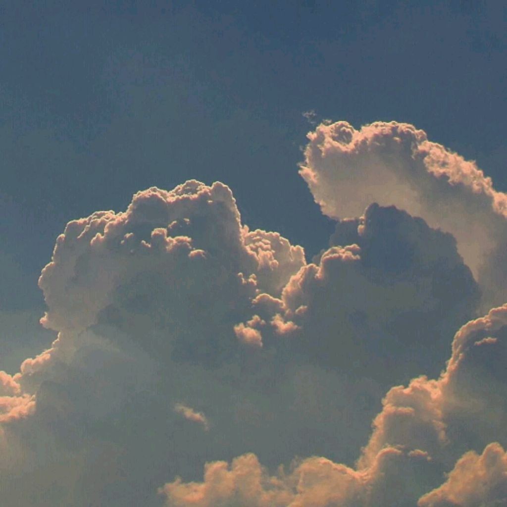 Арина Арт🖌️🎨