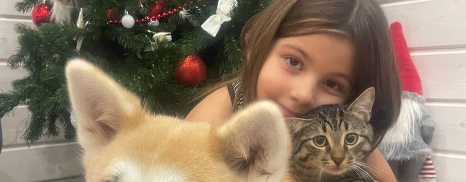 Кошки плачут, а собаки весело смеются