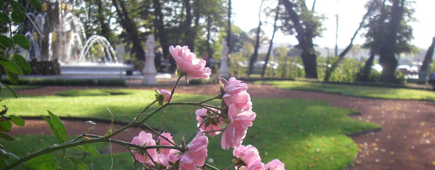 Киркилевич Людмила