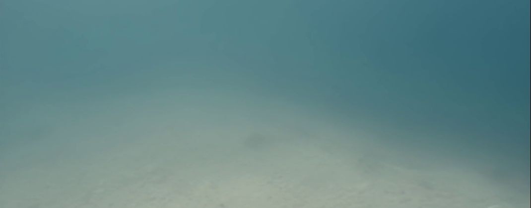 Светов Денис