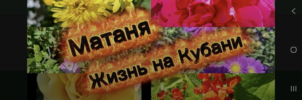 Матаня. Жизнь на Кубани.